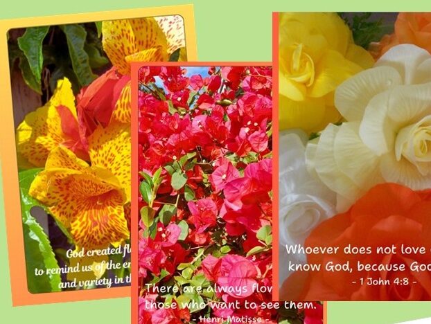 Read more about the article Greeting Cards