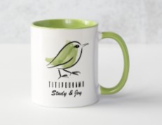 Read more about the article Titipounamu Study & Joy – Mug